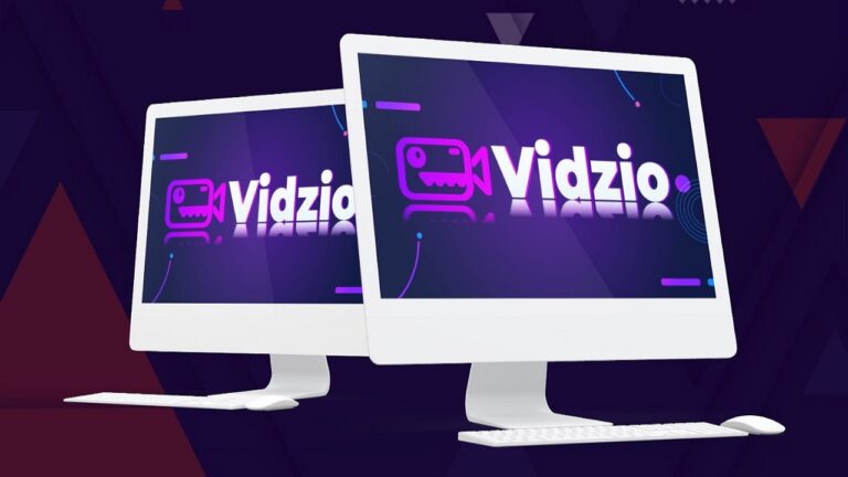 VidZio Review