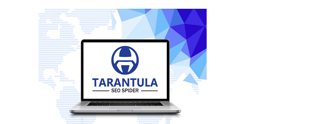 tarantula seo spider